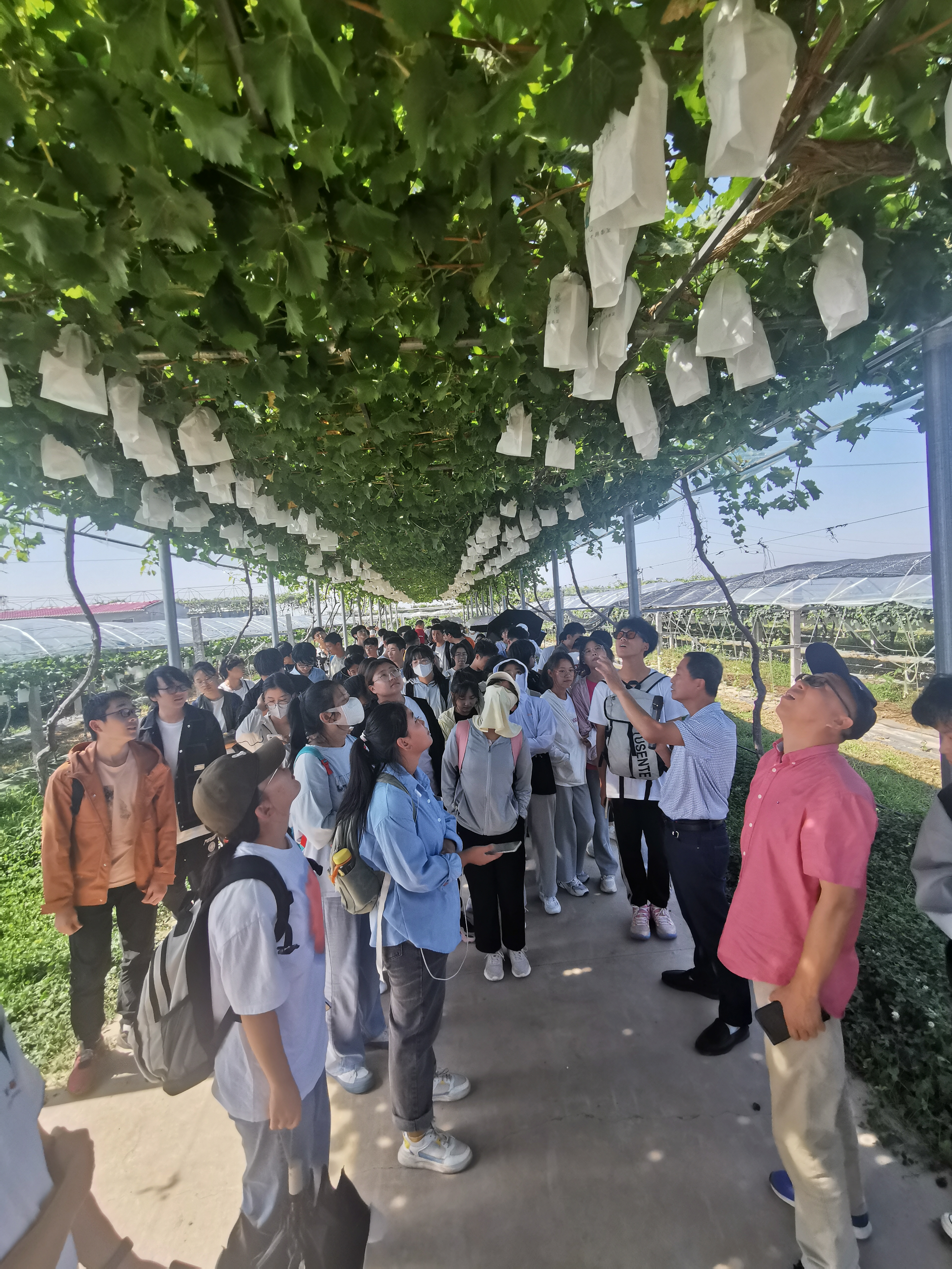 西农葡萄酒学院实践教学第一部曲—专业认知实习