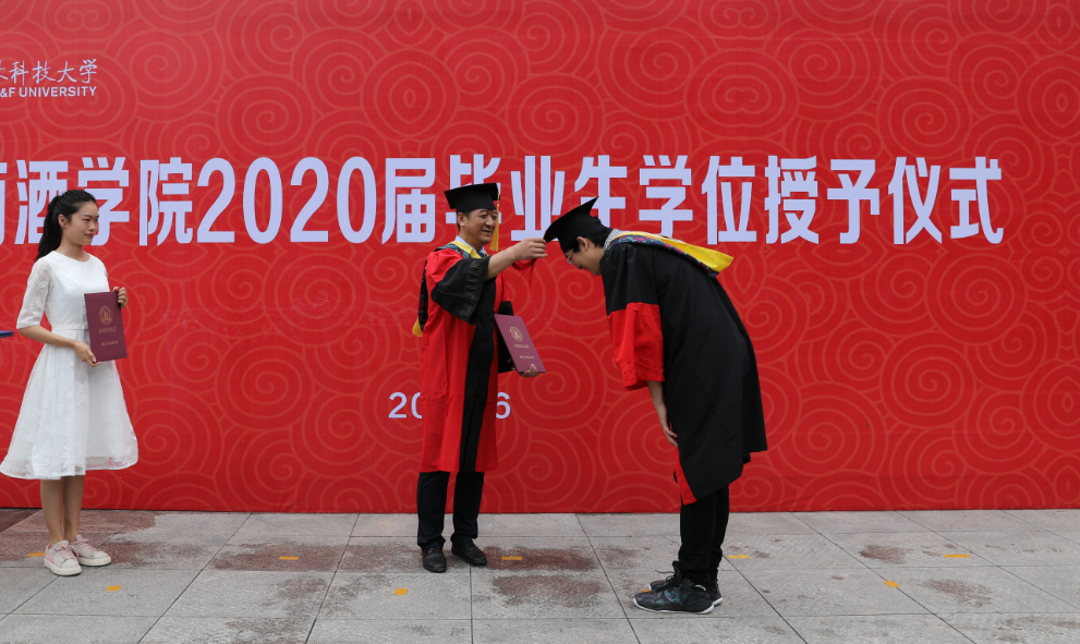 d729996d1cb549a1b0f90a1dcc39063e.png