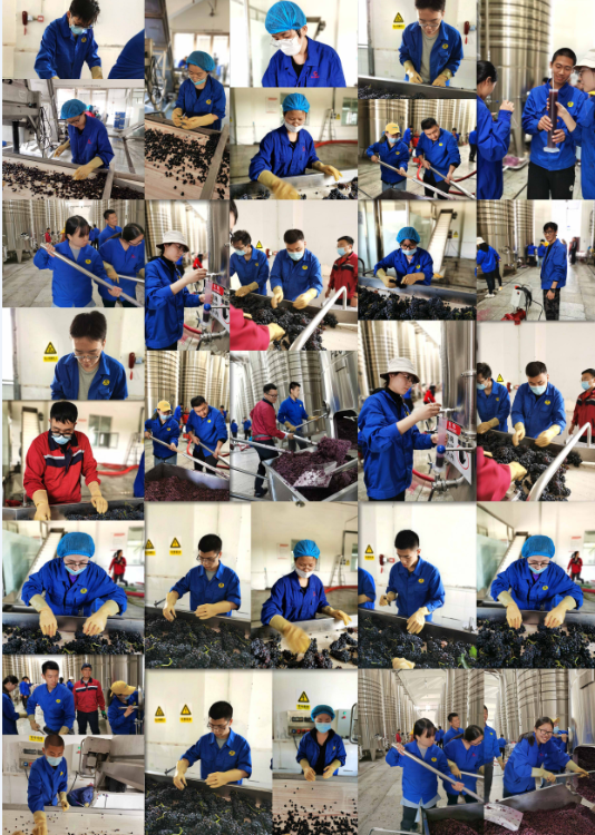 1279eb74f4e1423d9a0791af423f1f8e.png
