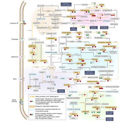 d7a6dc8691ef4b08b6fe16ea90b6ab92.png