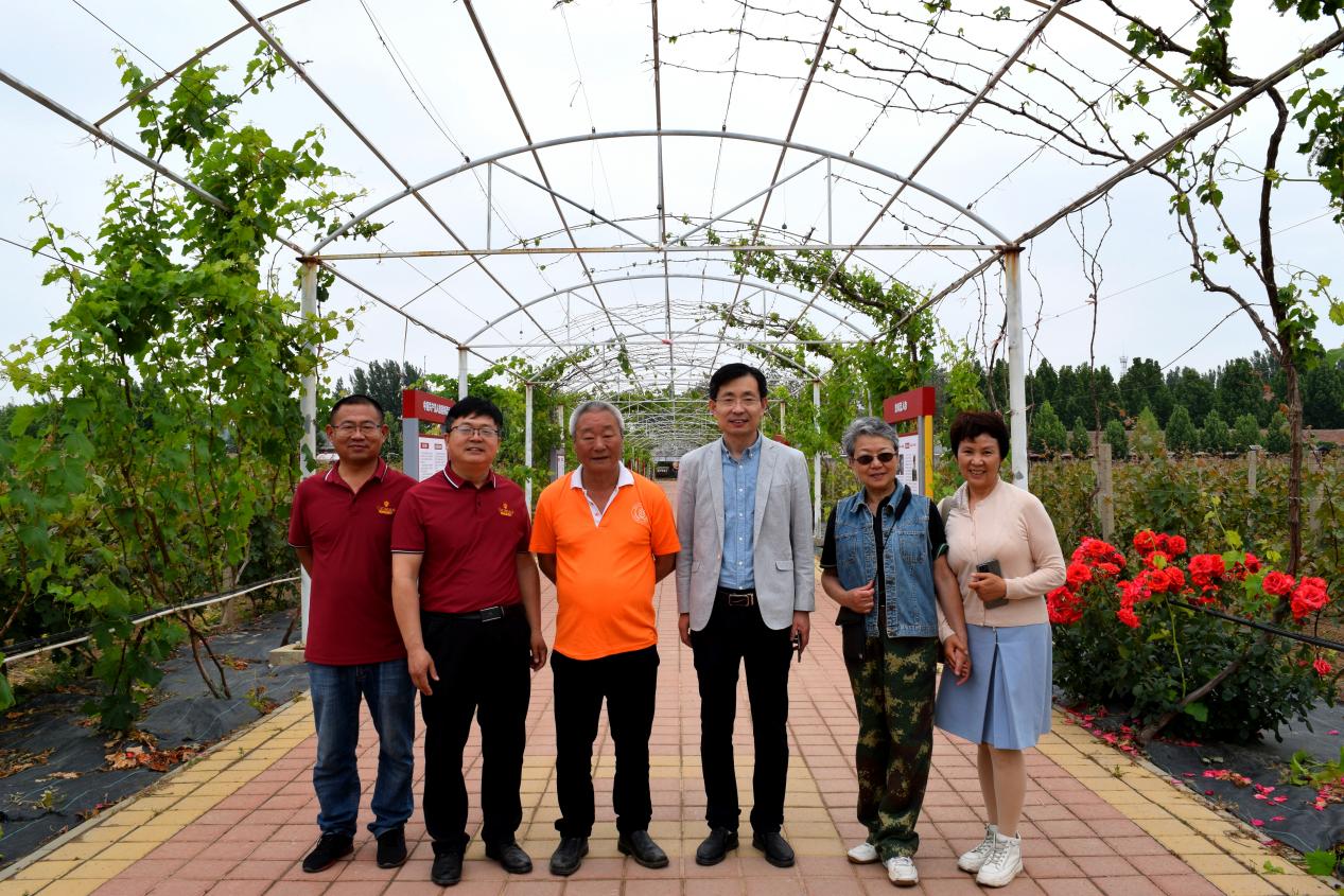 李华王华教授来酒庄(党建长廊有花)_conew1